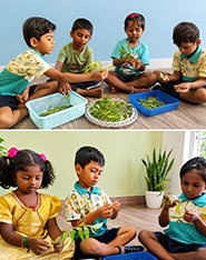 Students planting a sapling